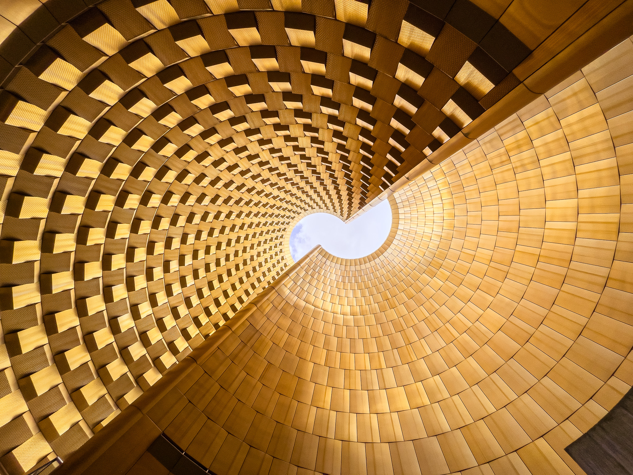 AI and Human Intelligence: A Case for Enhancement