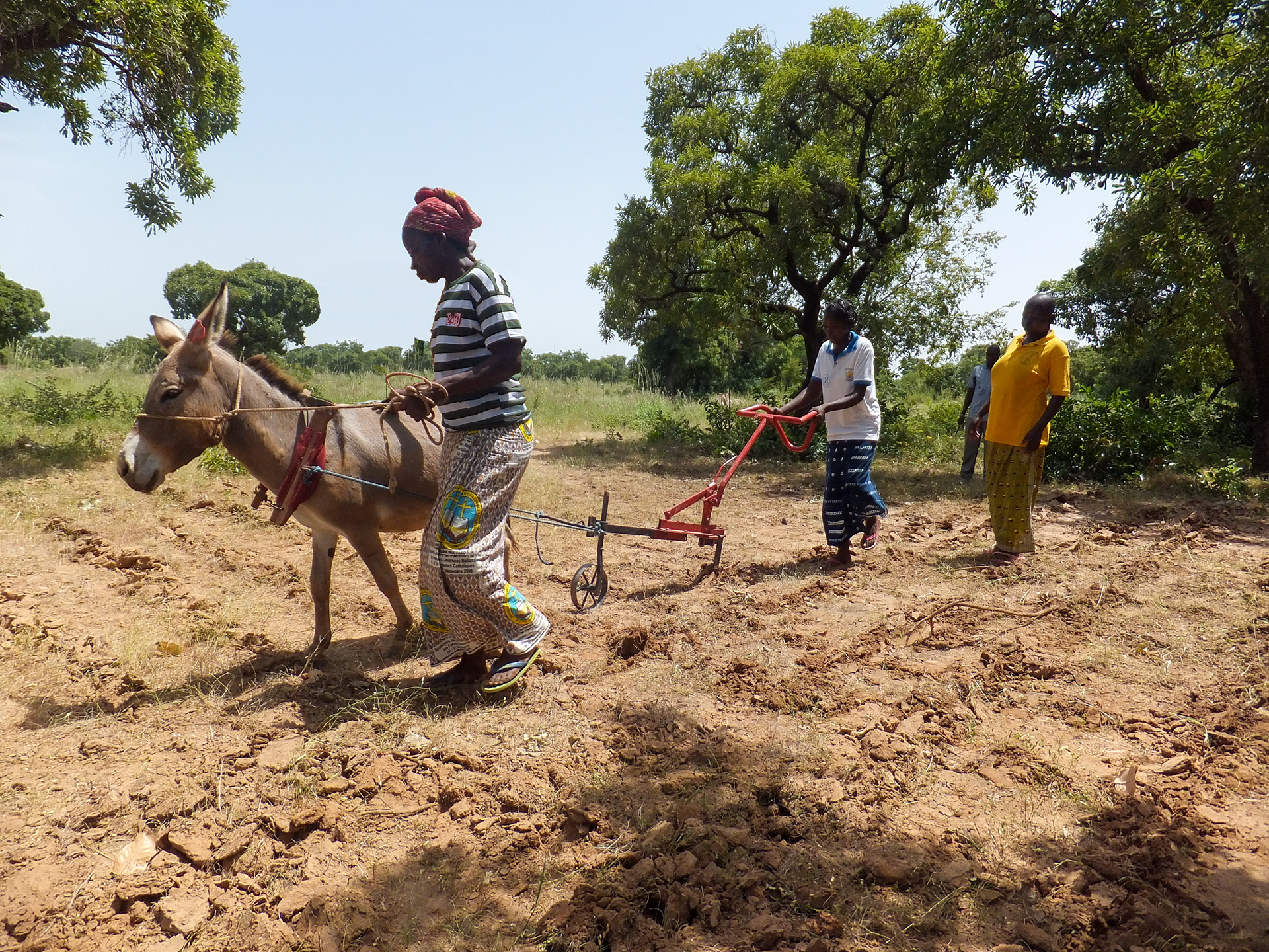 On the Impact of the Ukraine War on the Development of Burkina Faso